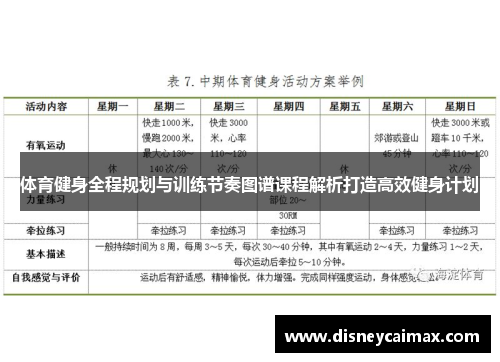 体育健身全程规划与训练节奏图谱课程解析打造高效健身计划