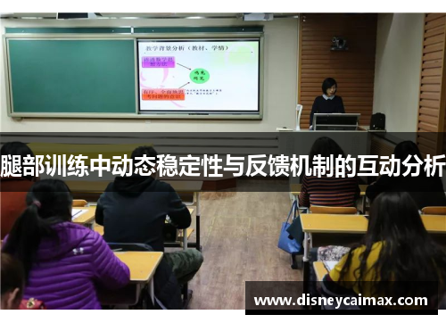 腿部训练中动态稳定性与反馈机制的互动分析